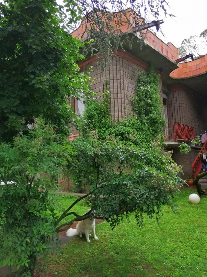 Open Space Nel Parco Con Parcheggio Gratuito Firenze Eksteriør bilde