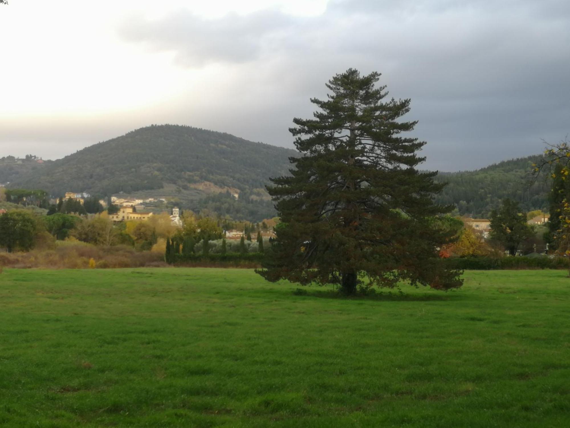 Open Space Nel Parco Con Parcheggio Gratuito Firenze Eksteriør bilde